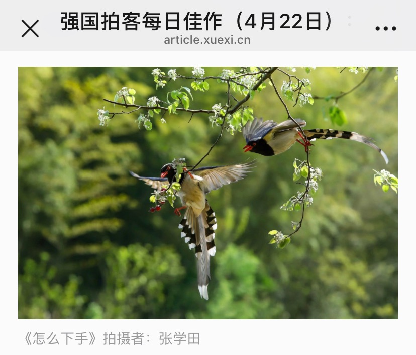 DD1A9328-B8CF-4D6C-A697-EB8D1C1C6AAE.jpeg