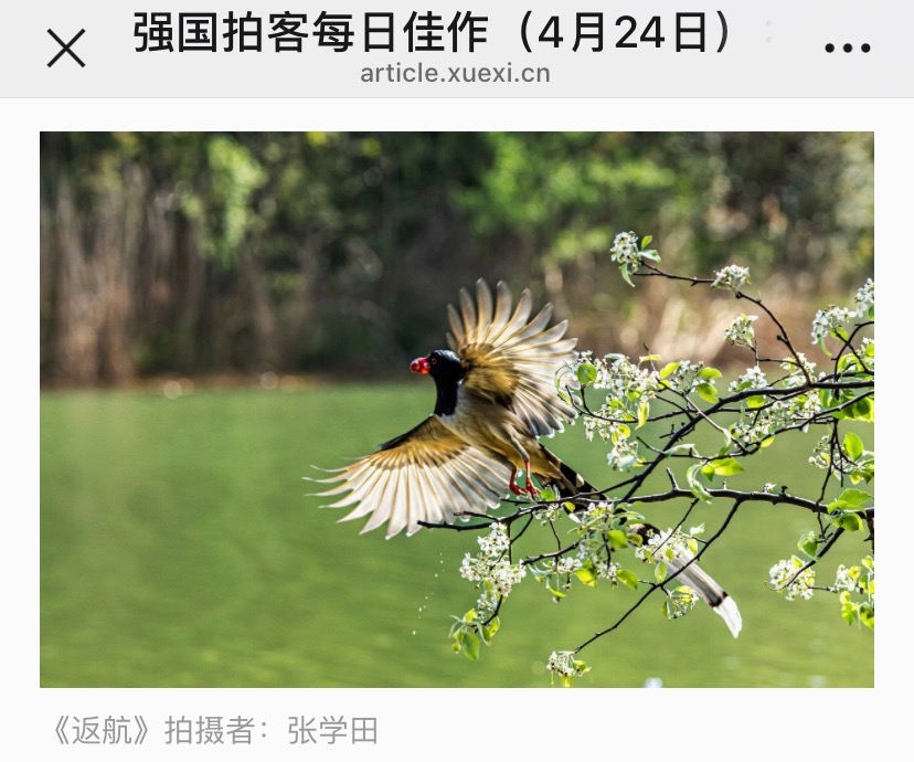 7C71C0FE-4A40-4CDB-AAA0-9BAFCAA0B73F.jpeg