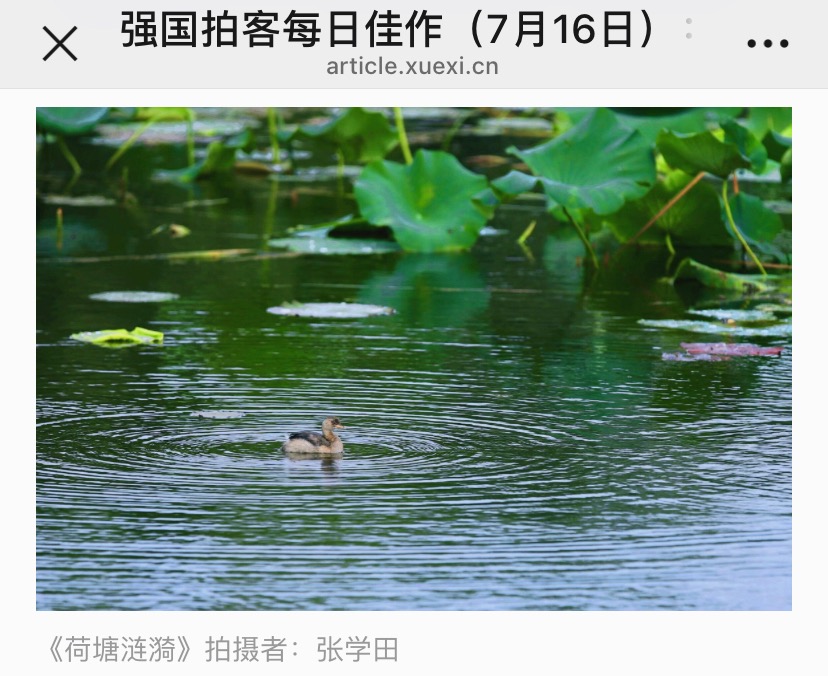11338BC5-A521-4913-BE0E-5F64A8309CB1.jpeg