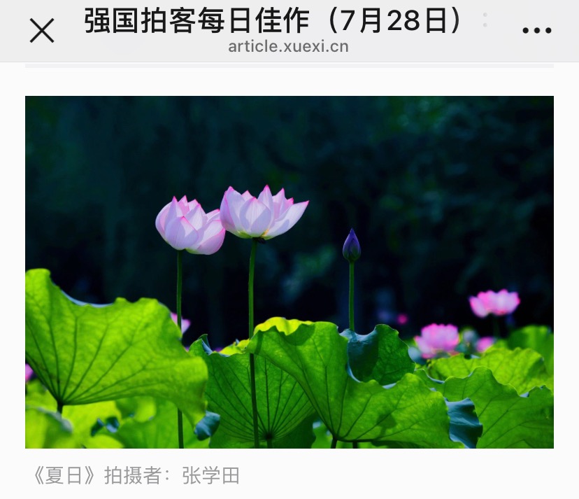 CE83E161-E365-4D24-9C51-ADC1002BEBCE.jpeg