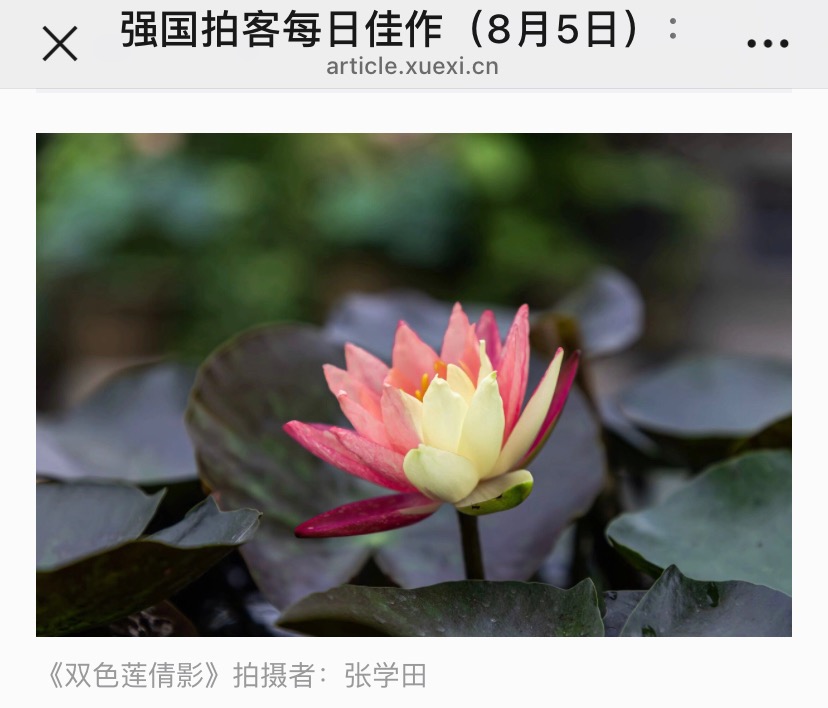 D86B0D5F-7552-4746-AAC8-7727F86D9727.jpeg