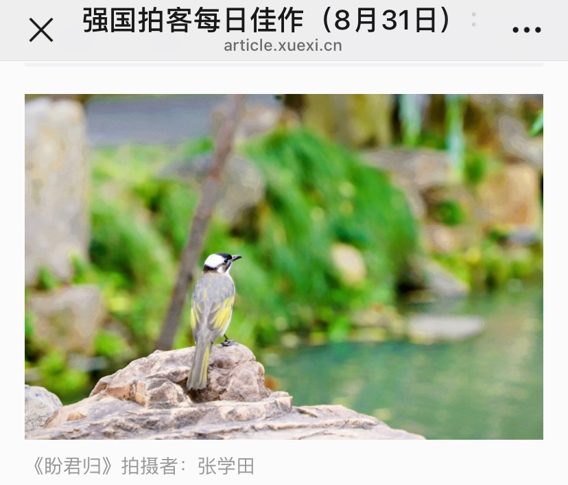 F64E6FE1-BD46-461A-B29E-F9E8BE4CB114.jpeg