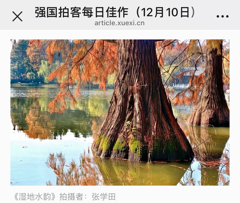 76B49D52-C1AF-4F55-9F2B-CF0D9B1386CB.jpeg