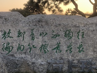 IMG_8472.jpeg