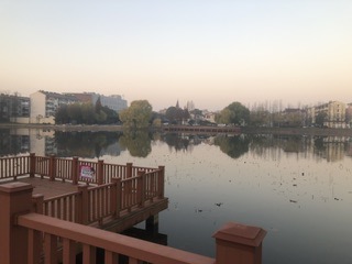IMG_8465.jpeg