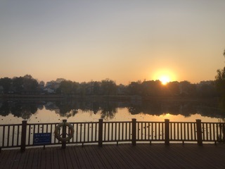 IMG_8469.jpeg