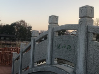 IMG_8468.jpeg