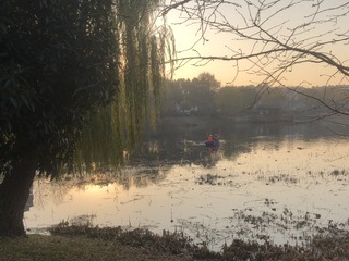 IMG_8475.jpeg