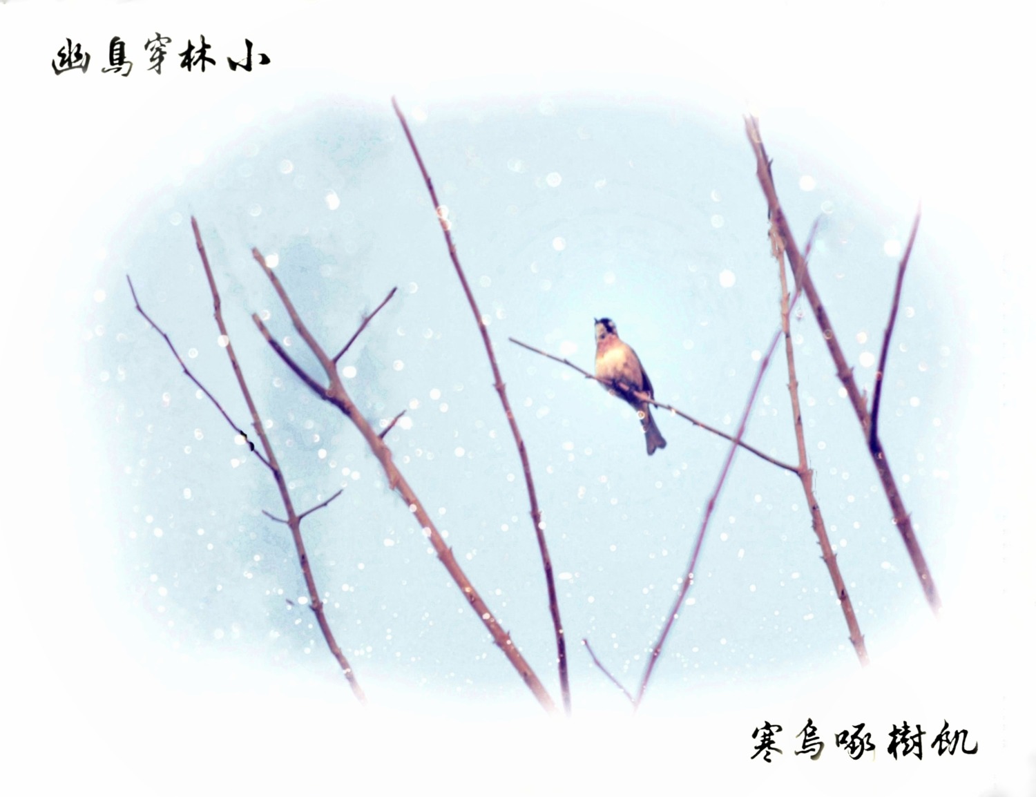 MEITU_20241225_193922325-01-01-01.jpeg
