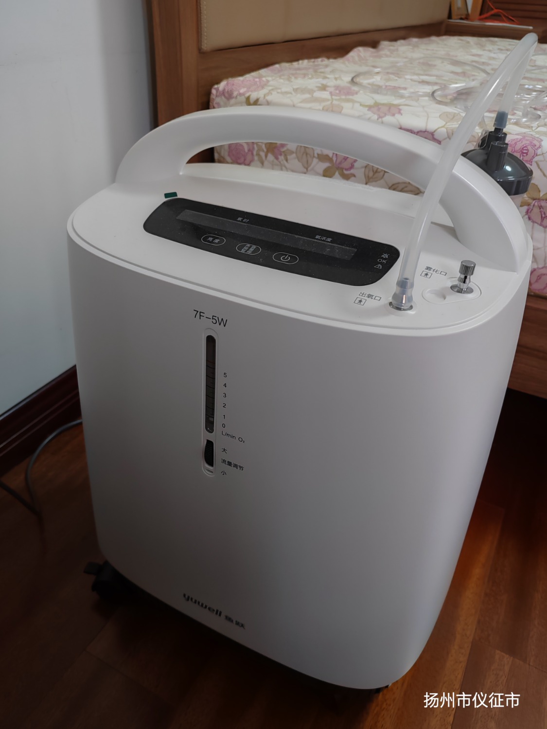 IMG_20241005_164445.jpg
