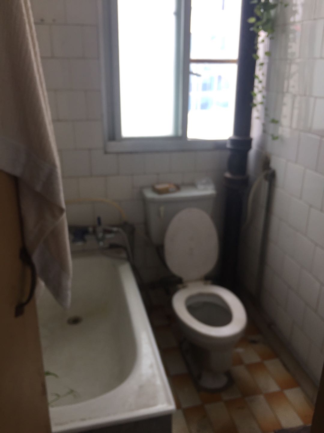 IMG_0459.jpeg