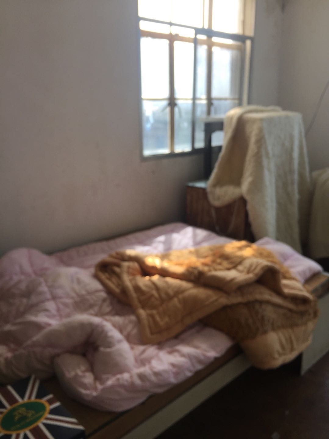 IMG_0462.jpeg
