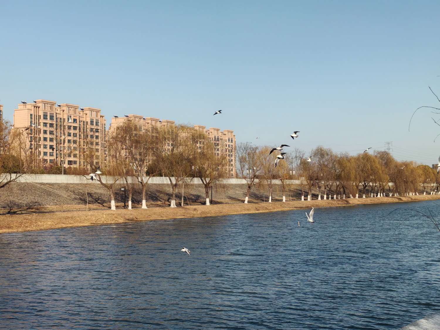 IMG_20250128_152350.jpg
