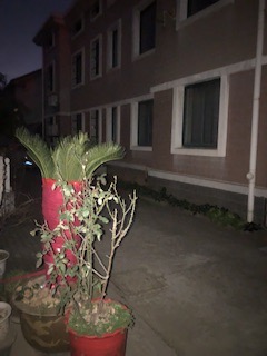 IMG_8620.jpeg
