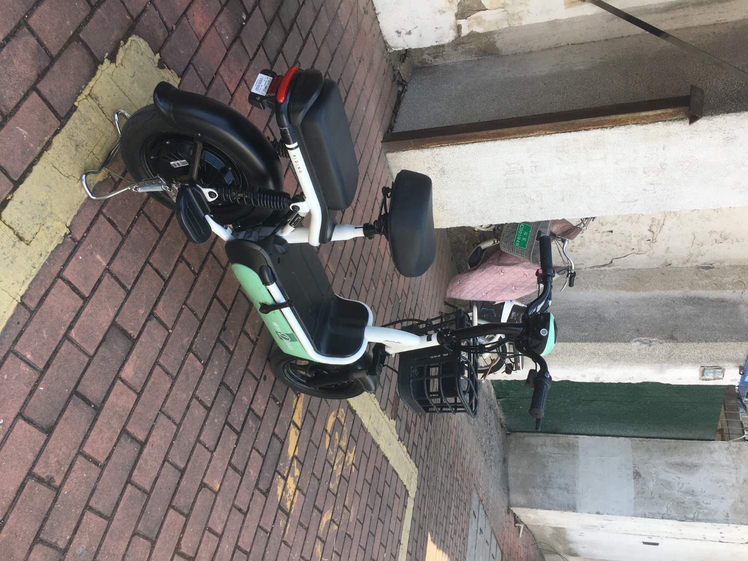 mmexport1739529315477.jpg