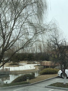 IMG_8673.jpeg