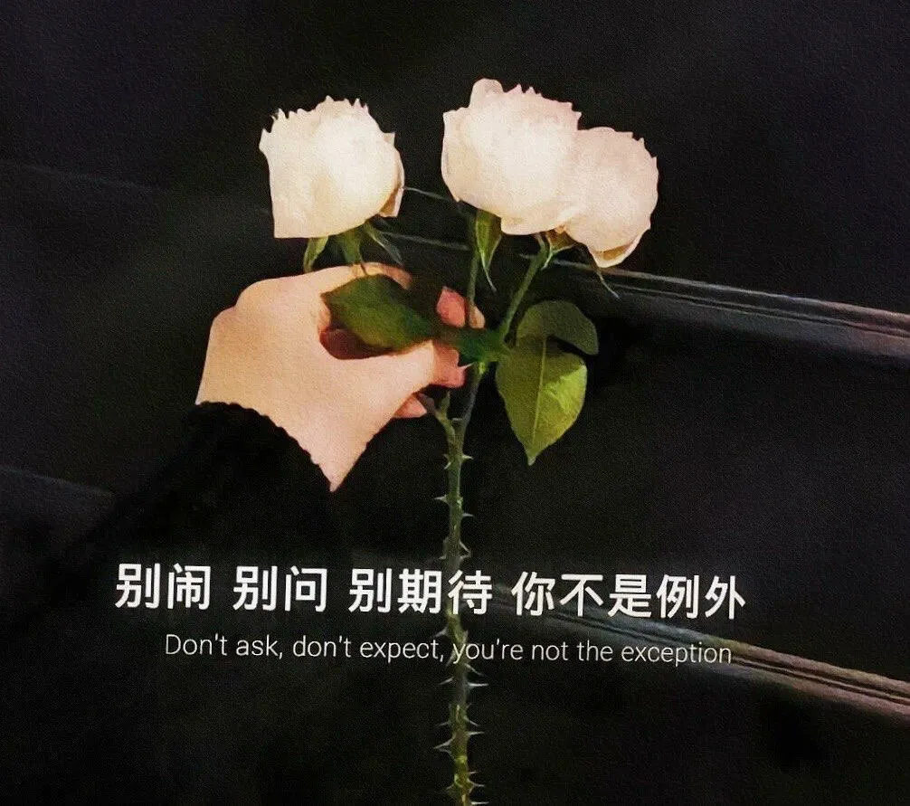 mmexport1740048049136.png