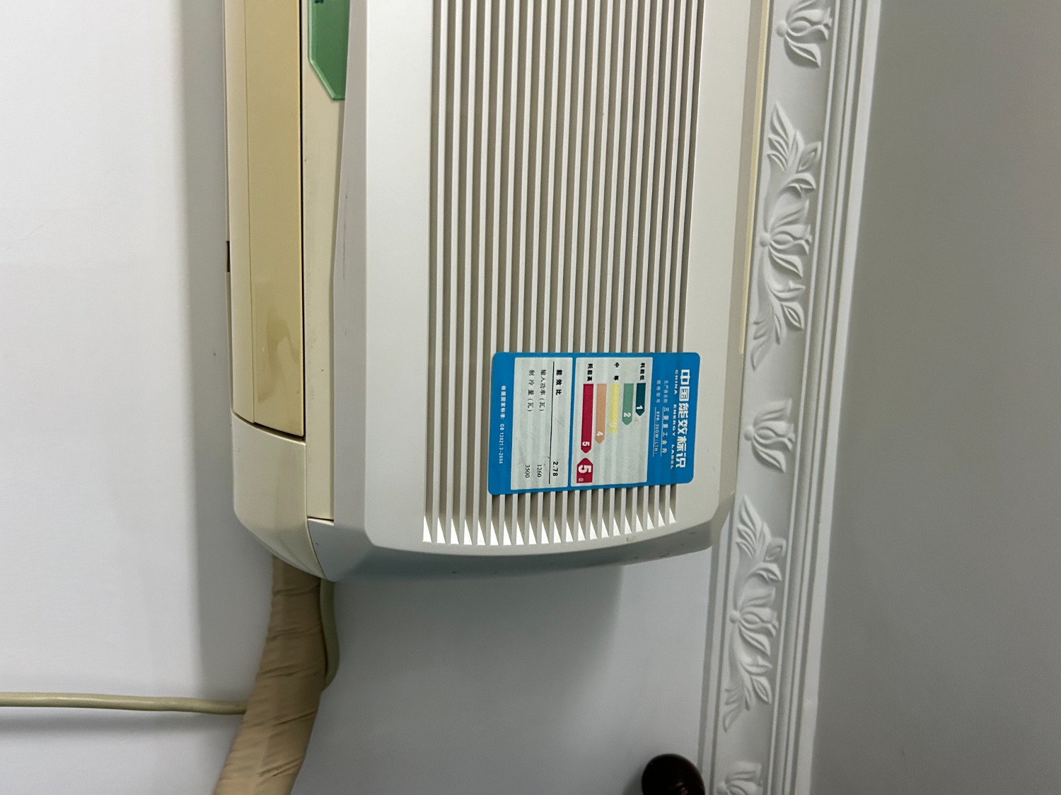 mmexport1740231225668.jpg