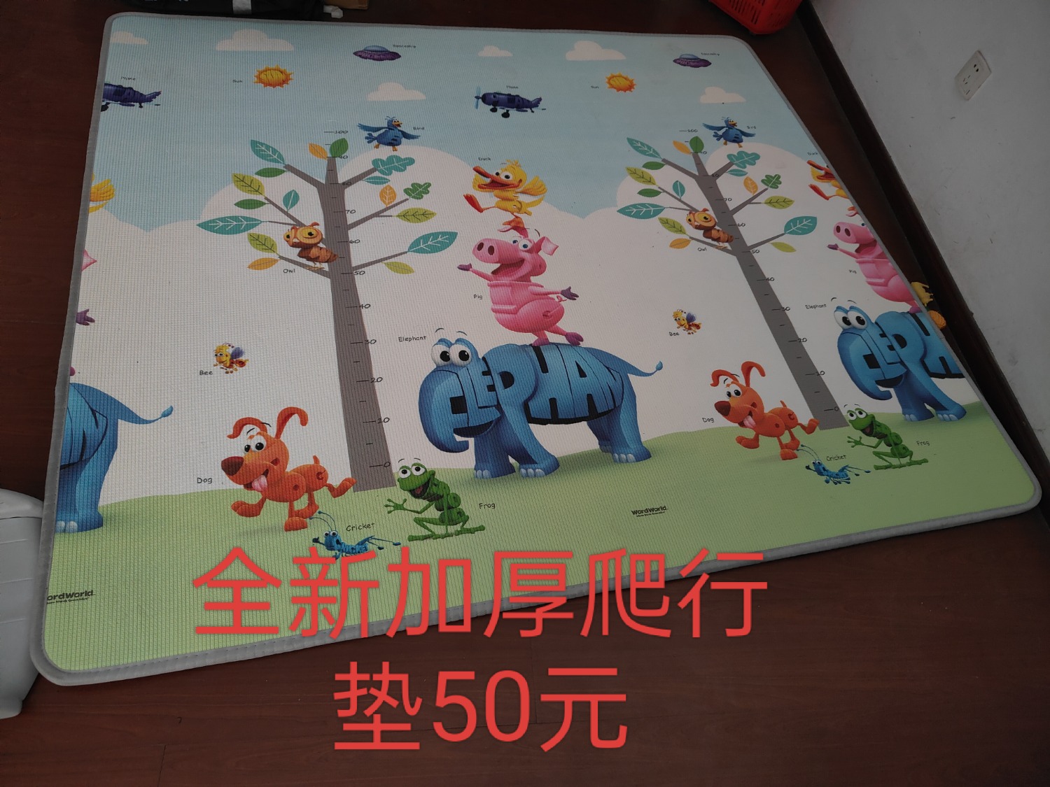 IMG_20250228_153047.jpg