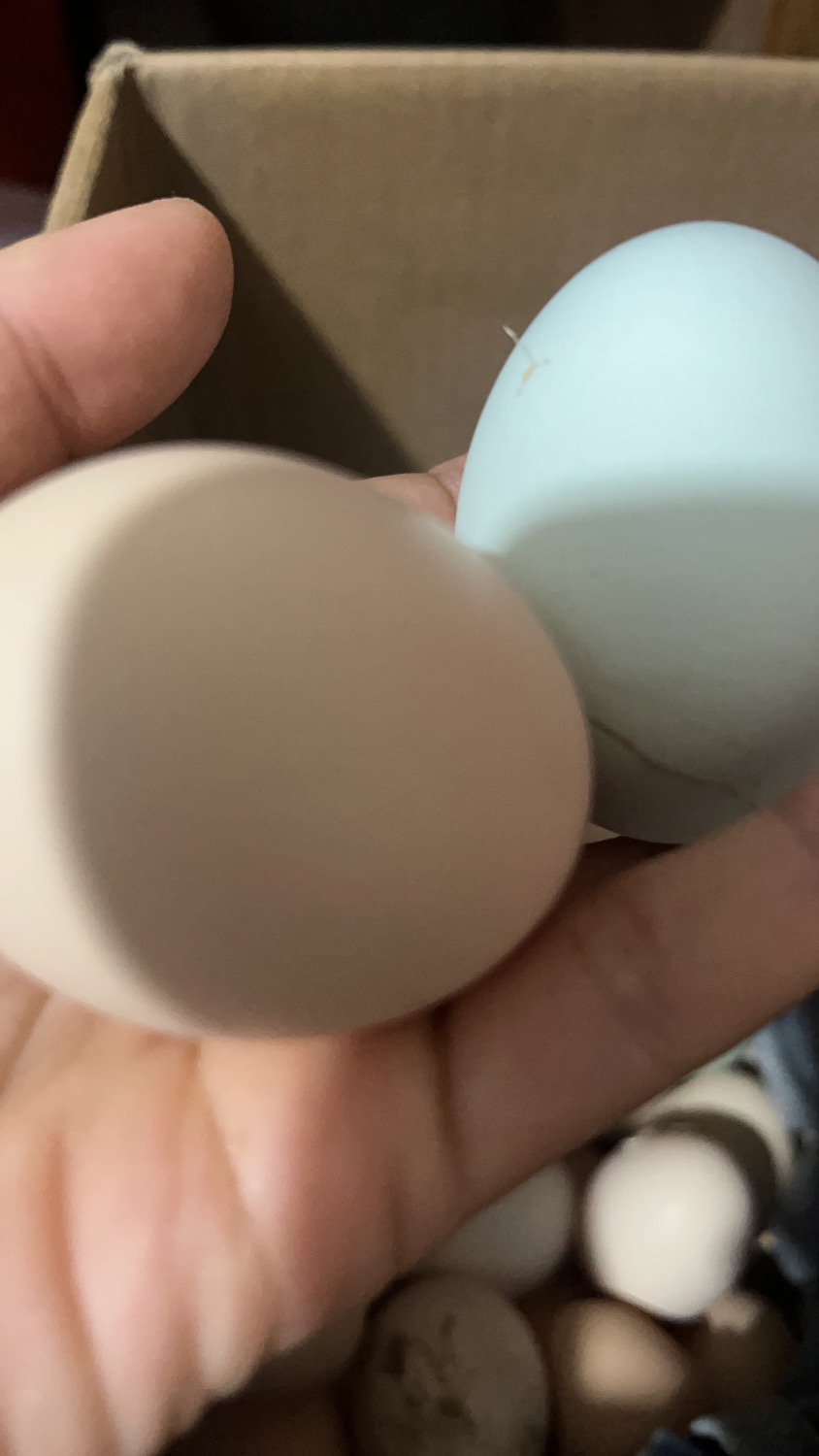 2F07F240-20D9-437B-A216-C02162D09BF5.jpeg