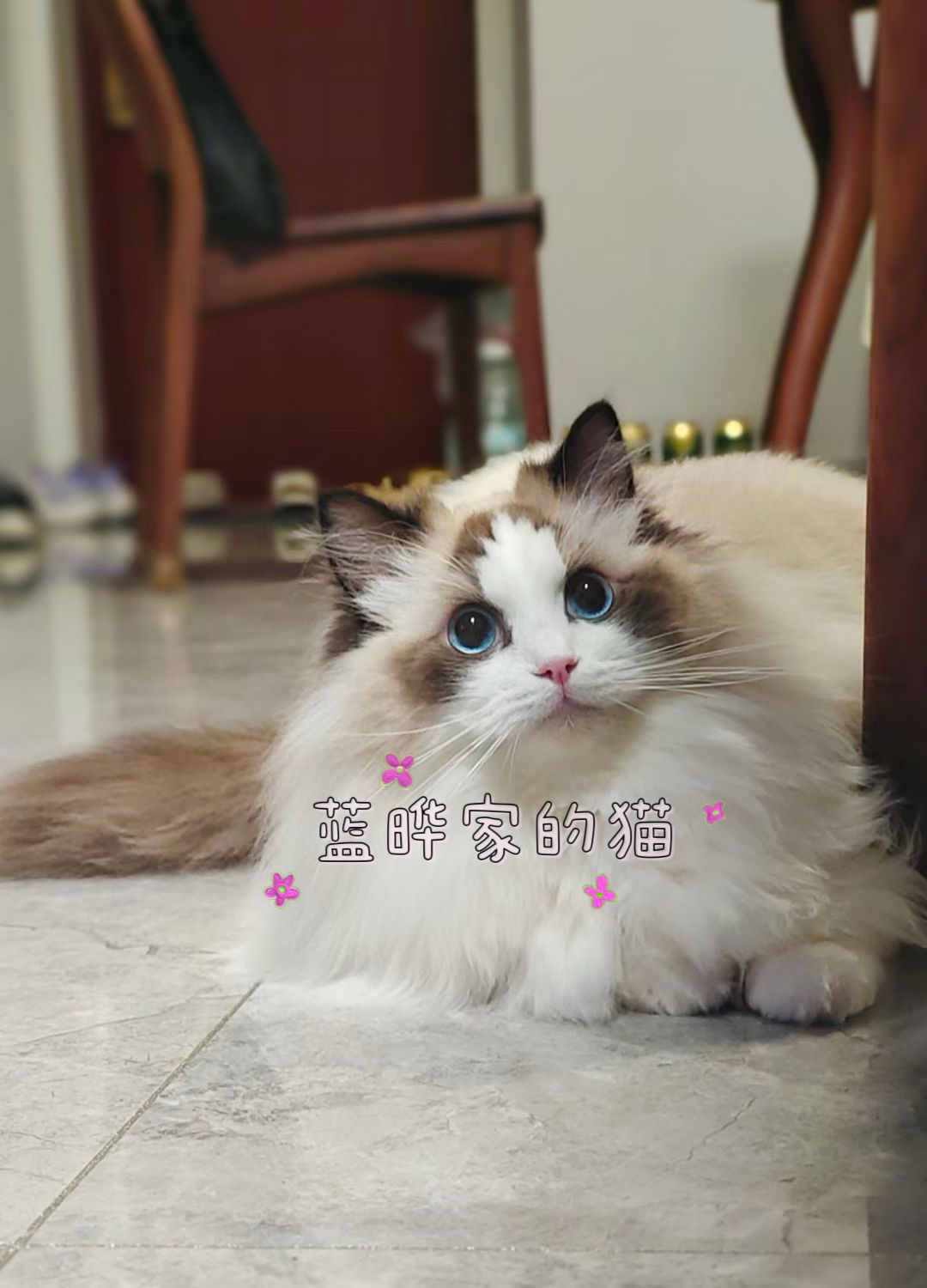 微信图片_20250312131609.jpg