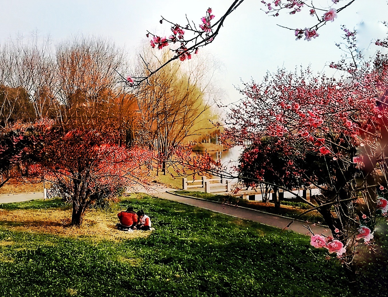 Videoframe_20250308_220736_com.huawei.himovie.local_edit_503797849562707-01.jpeg