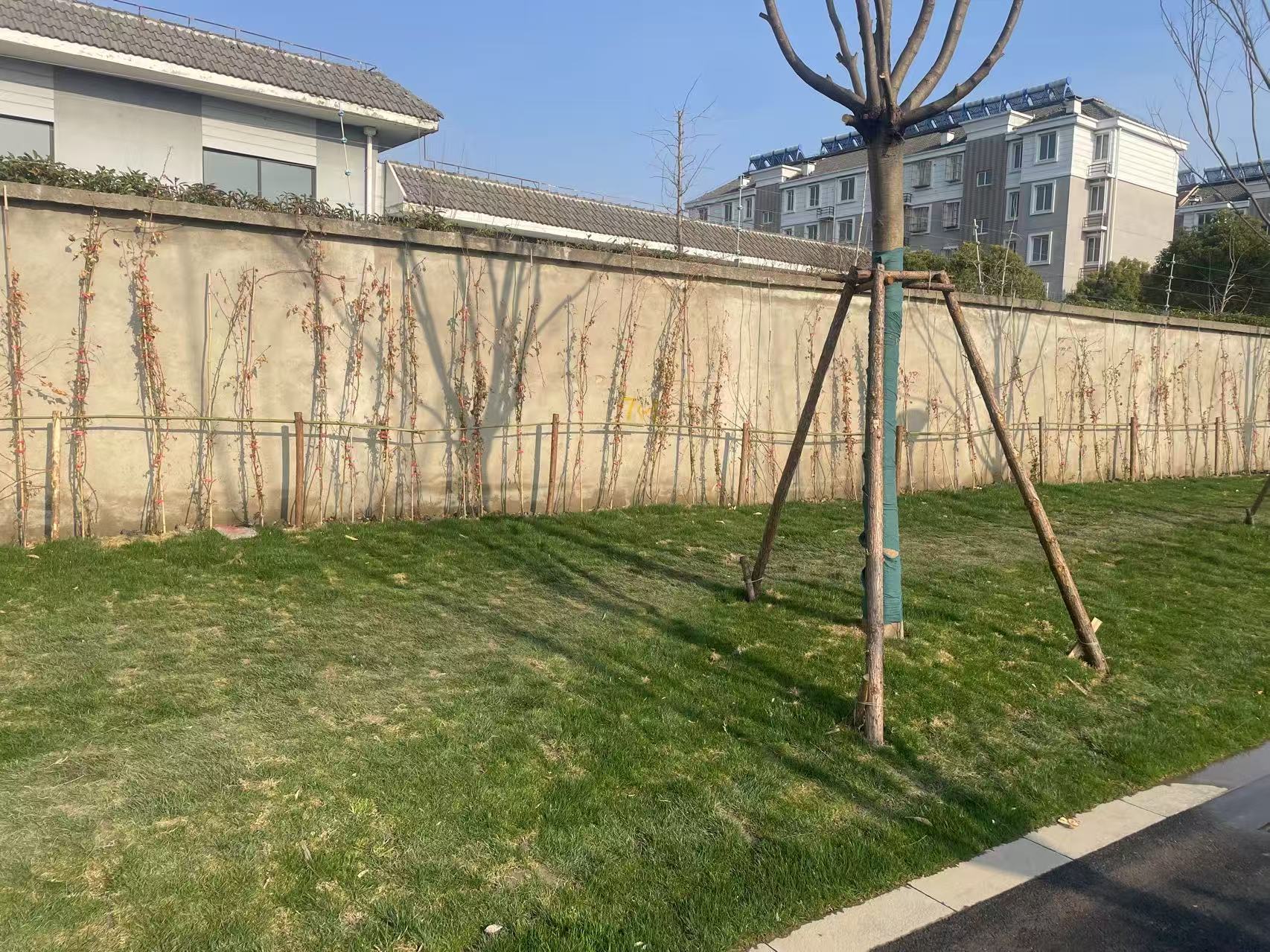 微信图片_20250314215622.jpg