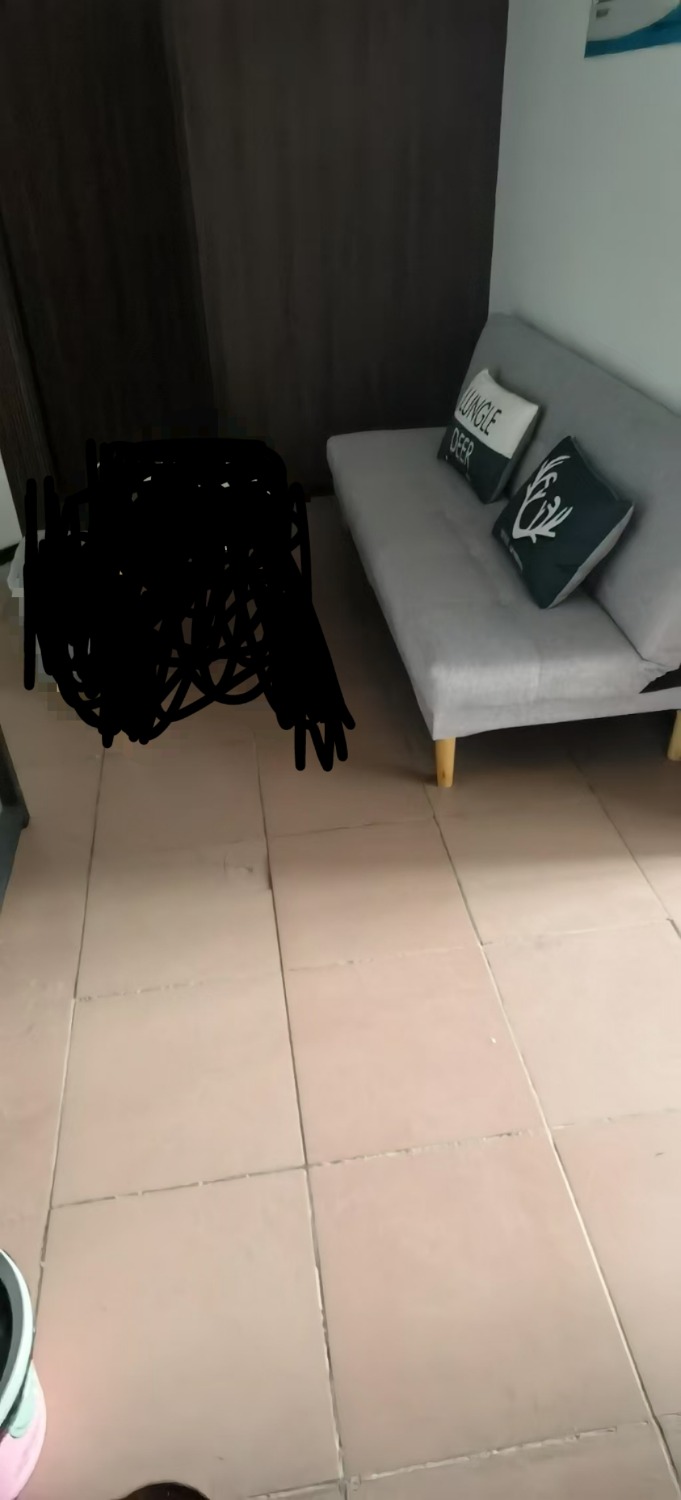 mmexport1742083518819.jpg