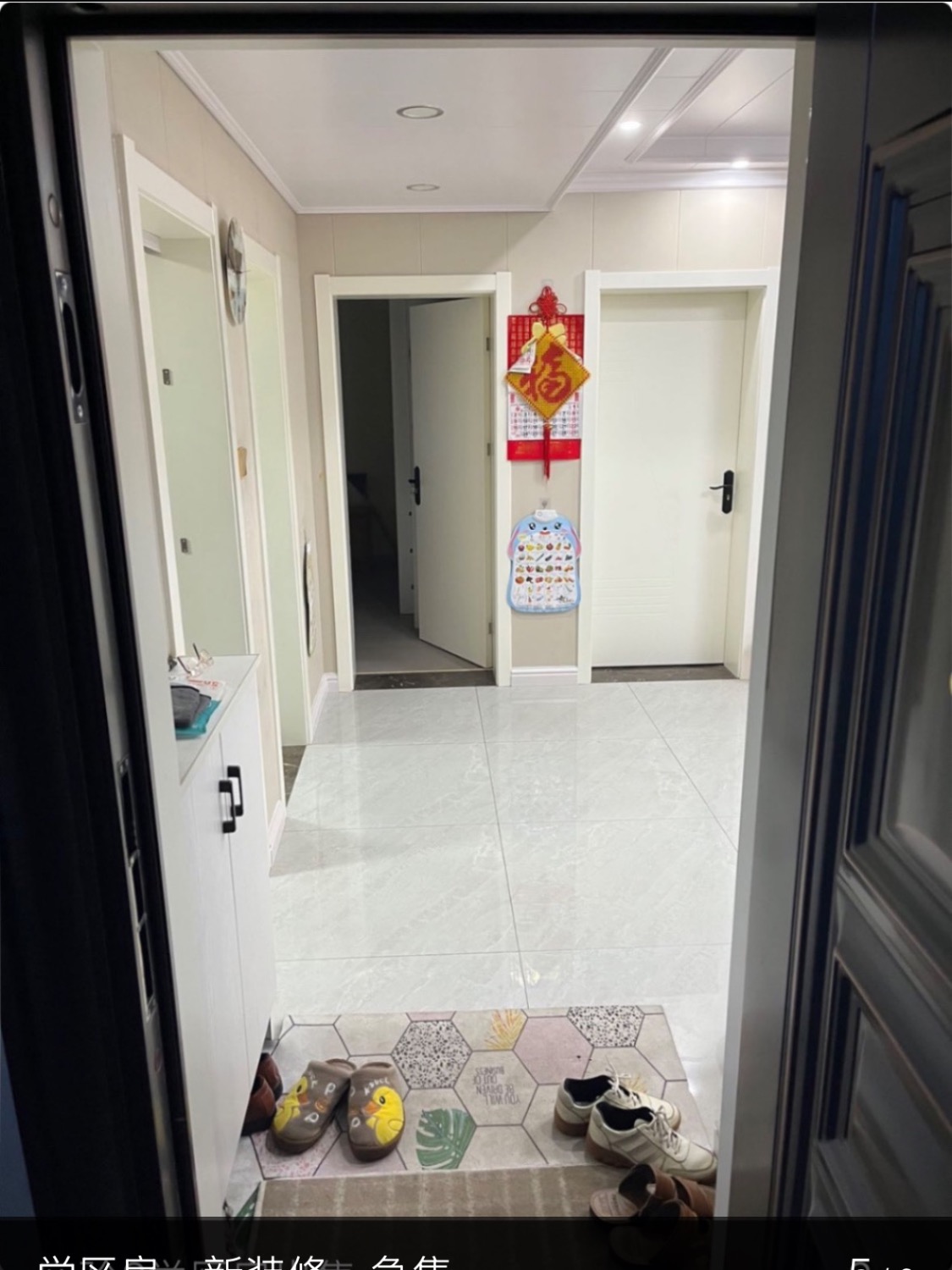 IMG_0195.jpeg