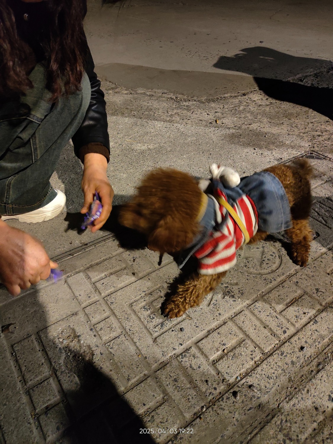 IMG20250403192214.jpg