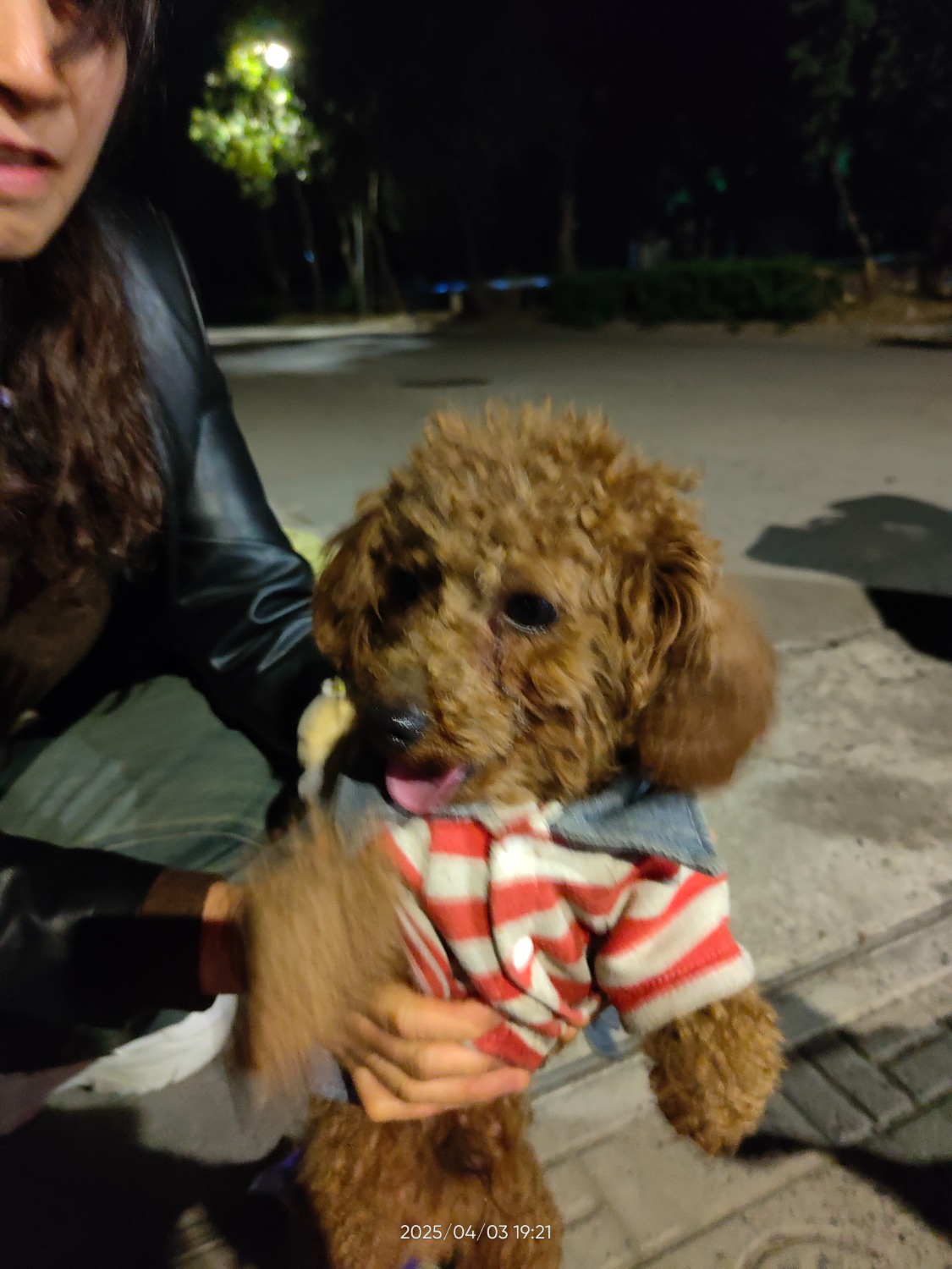 IMG20250403192150.jpg
