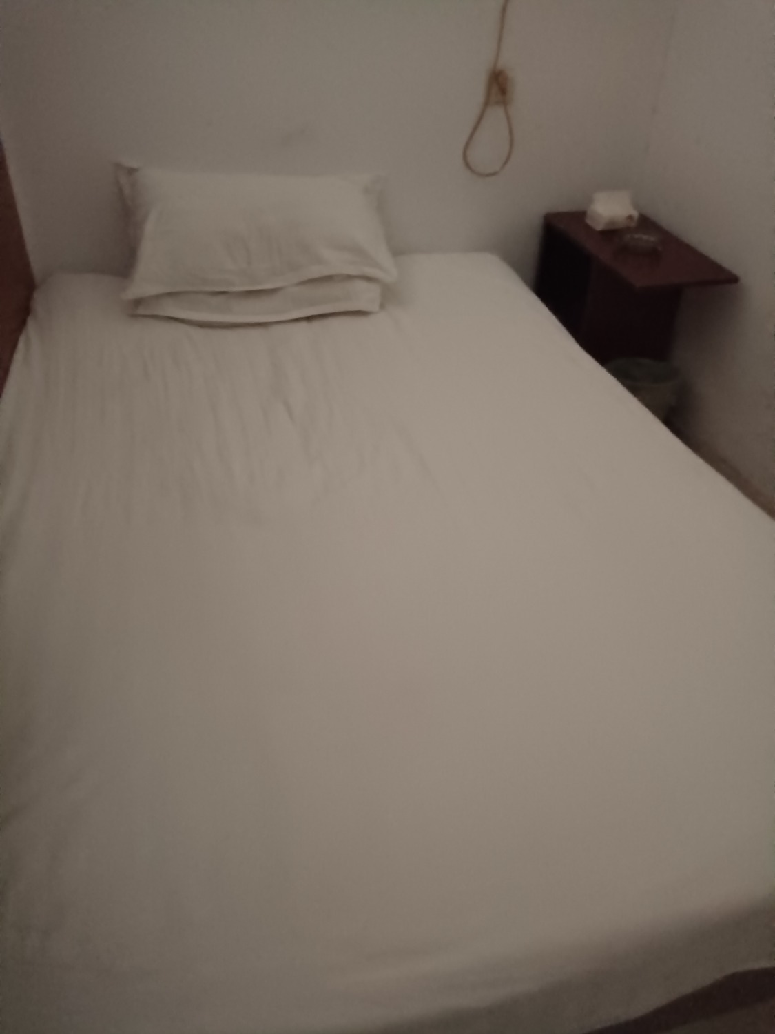 mmexport733d13e275d046856d6010f289166a65_1744090199805.jpeg