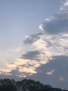 IMG_8882.jpeg