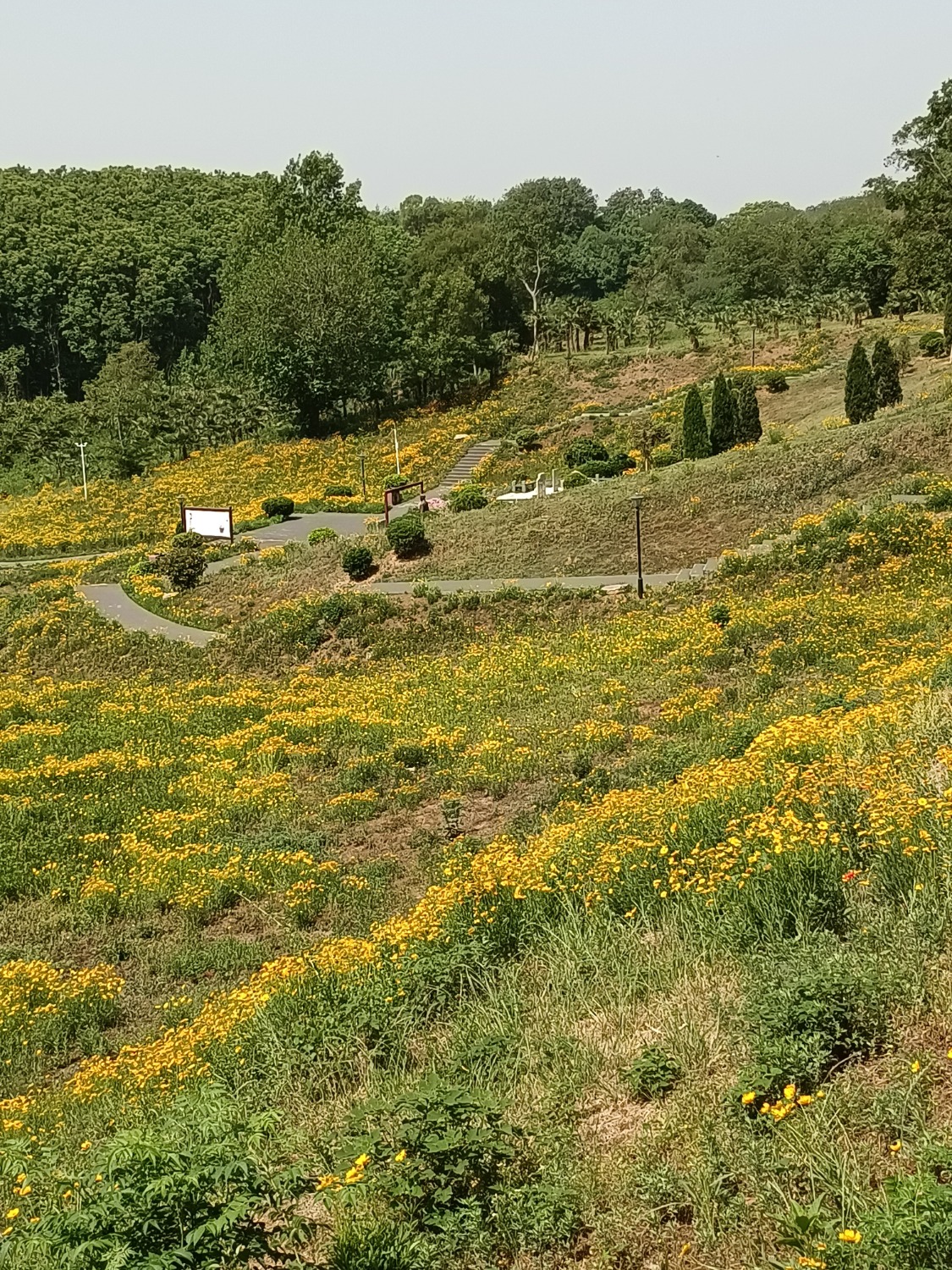 IMG_20250507_095834.jpg