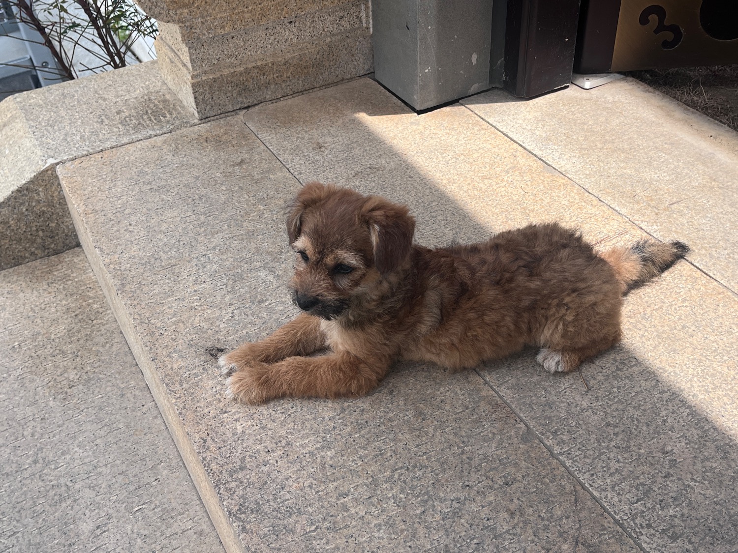 IMG_1518.jpeg