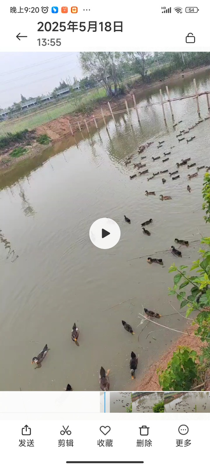 Screenshot_2025-05-28-21-20-53-672_com.miui.gallery.jpg