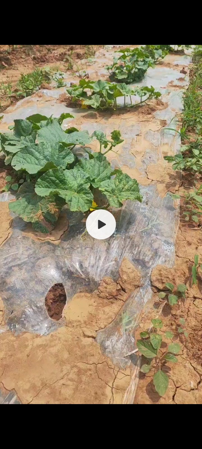 Screenshot_2025-05-28-21-20-28-782_com.miui.gallery.jpg