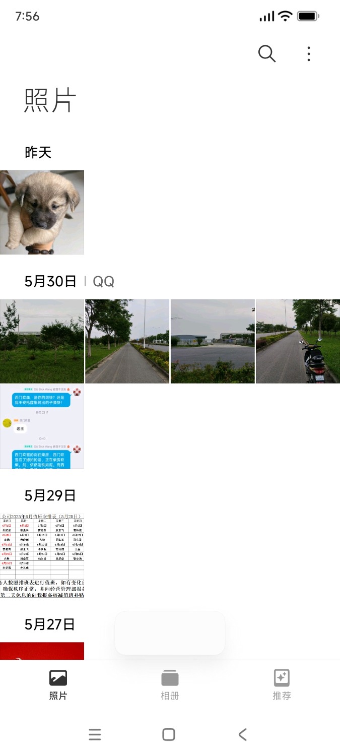 1000033001.jpg