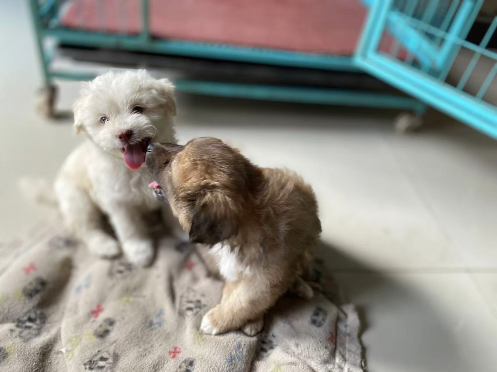 c4b5ca7ad96894a337b44b4be4e188a.jpg