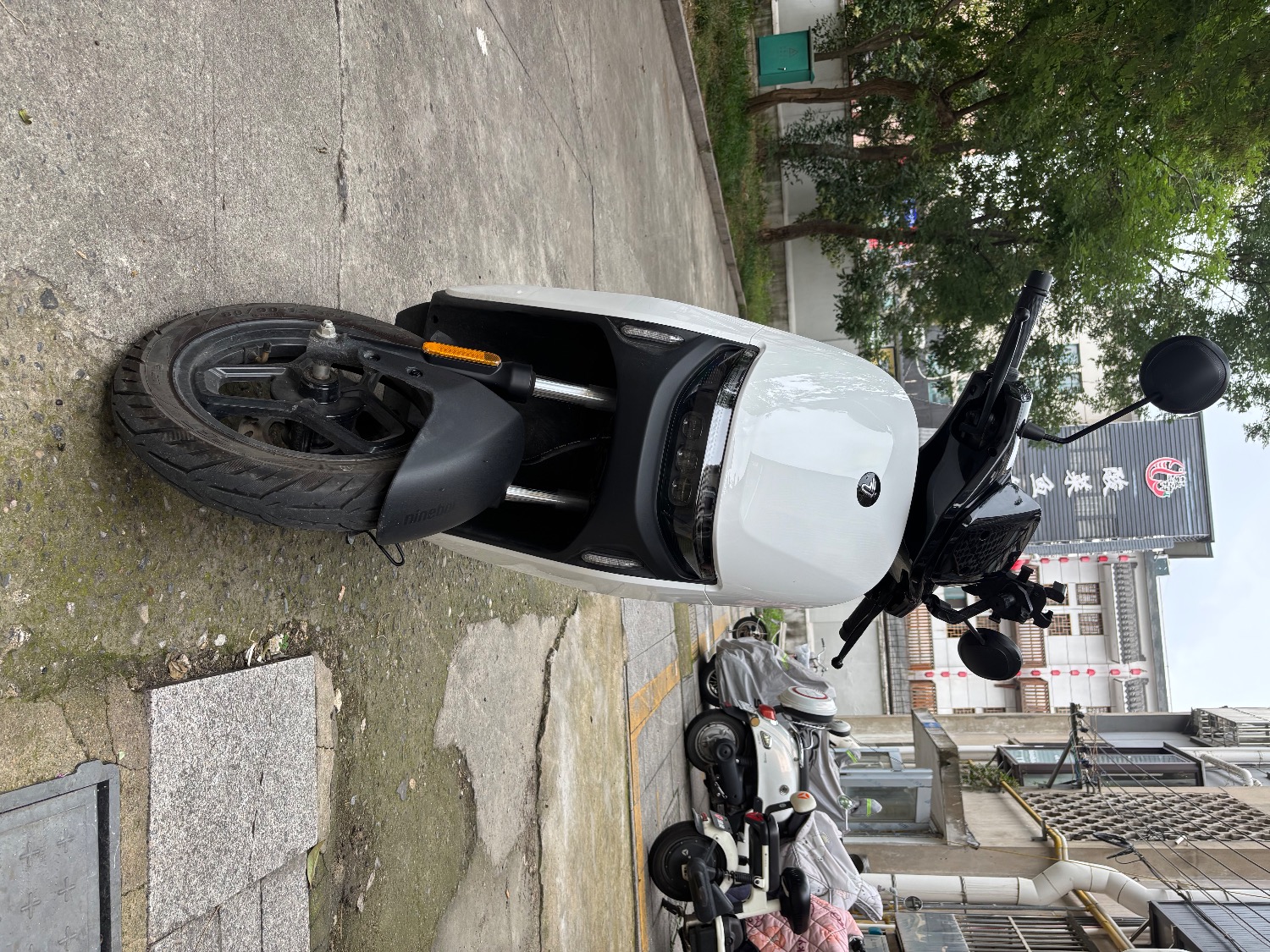IMG_6806.jpeg