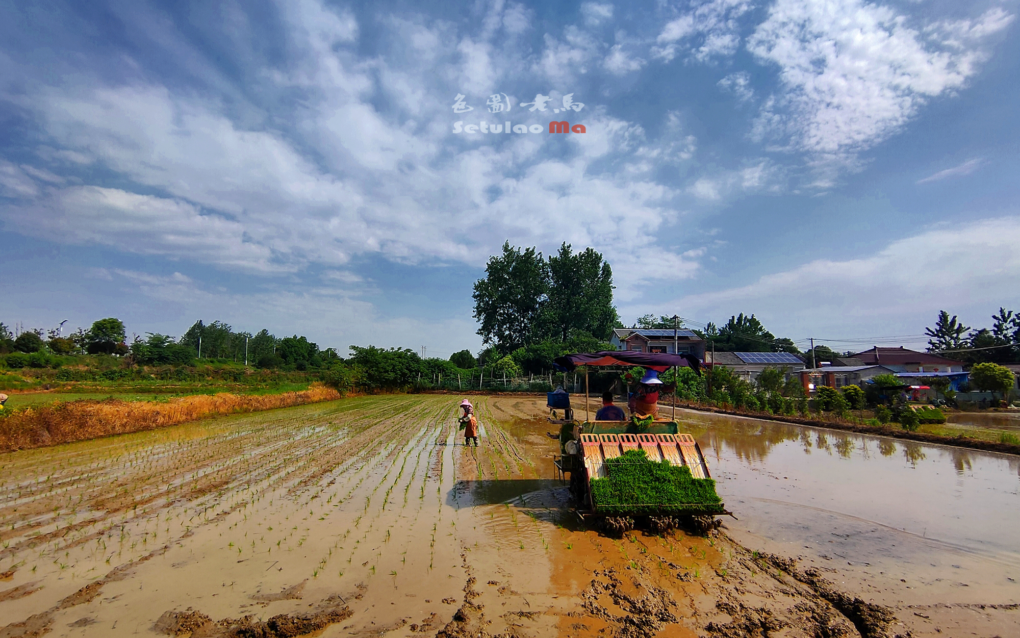 IMG_20250607_153828 拷贝.jpg