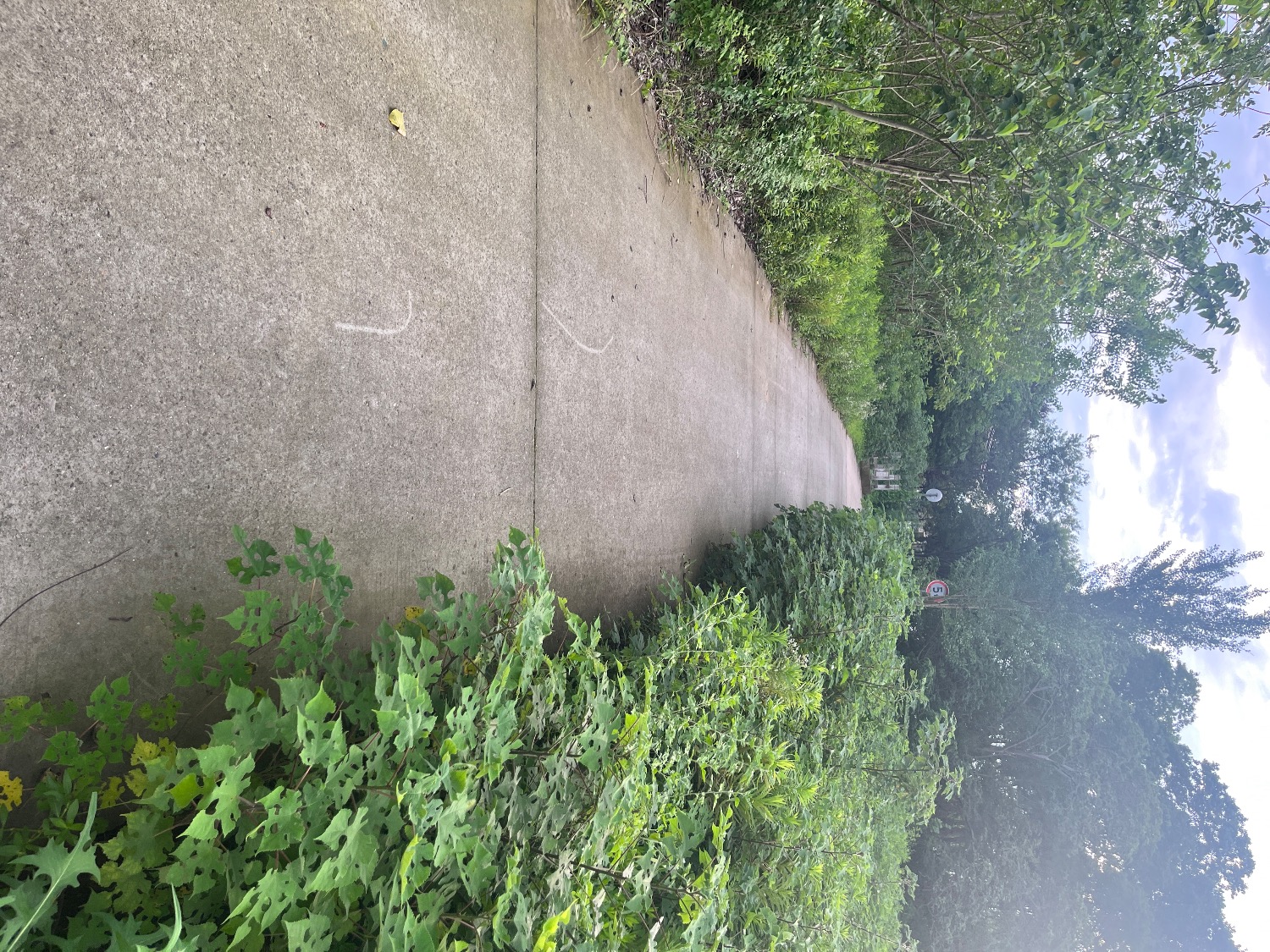 7E0CB2F3-4B57-4208-A61D-40D8435E02B7.jpeg
