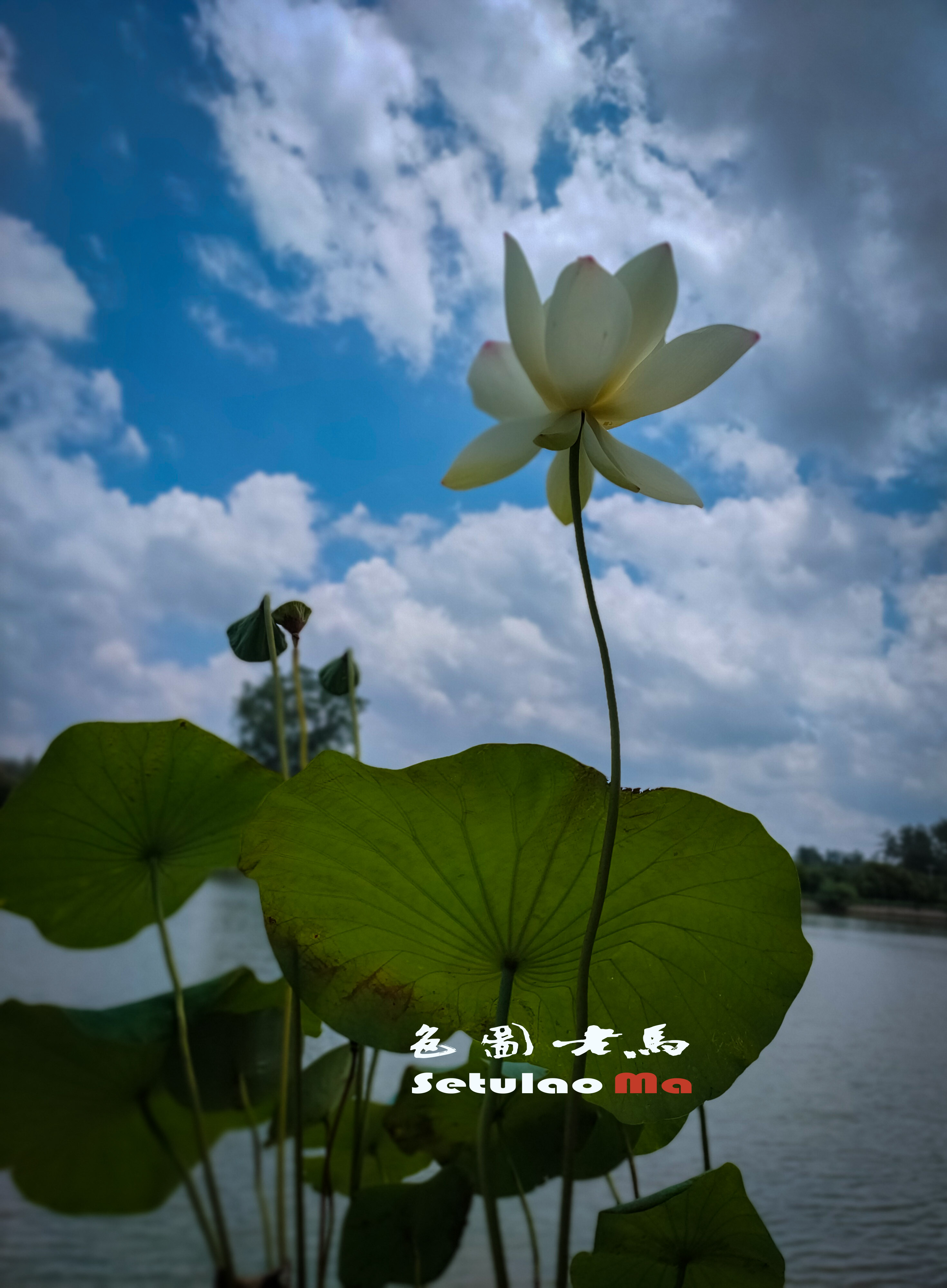 IMG20250709114124 拷贝.jpg