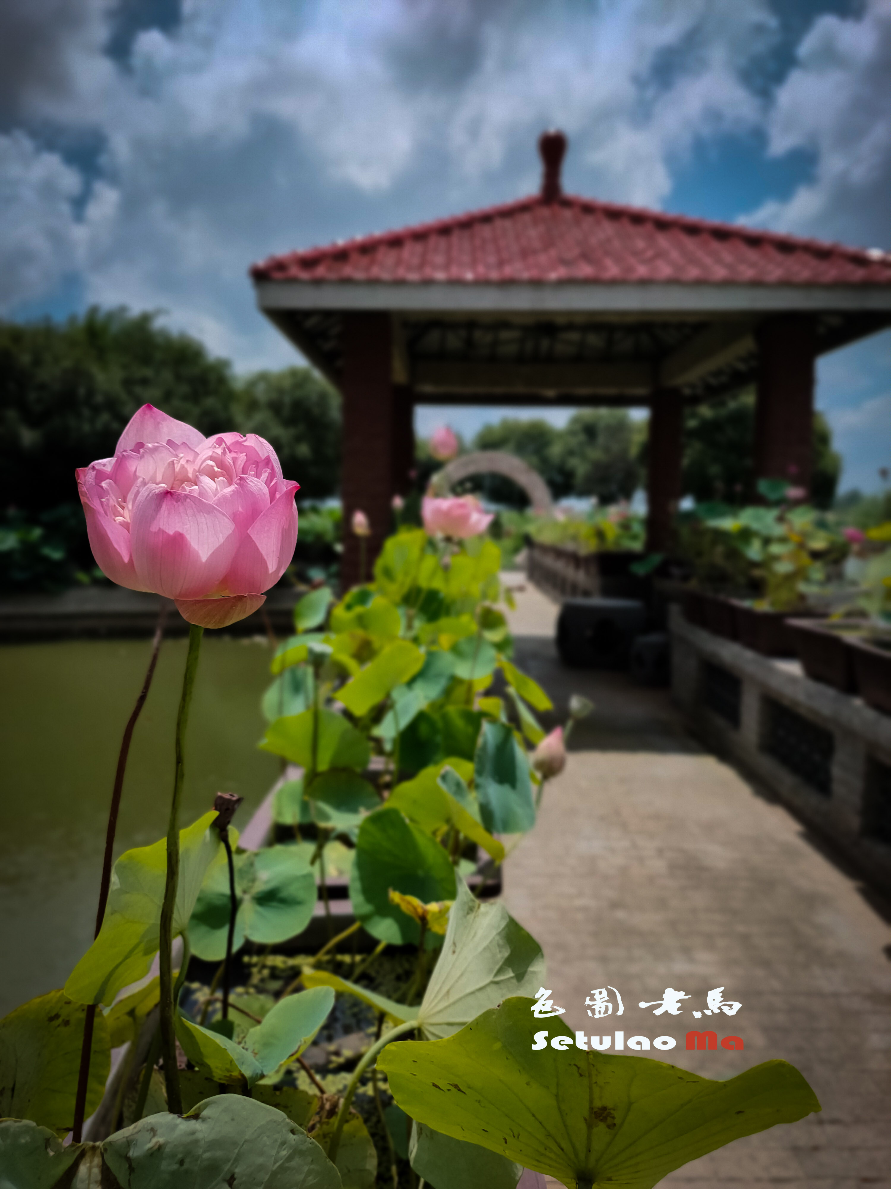 IMG20250709115259ccv.jpg
