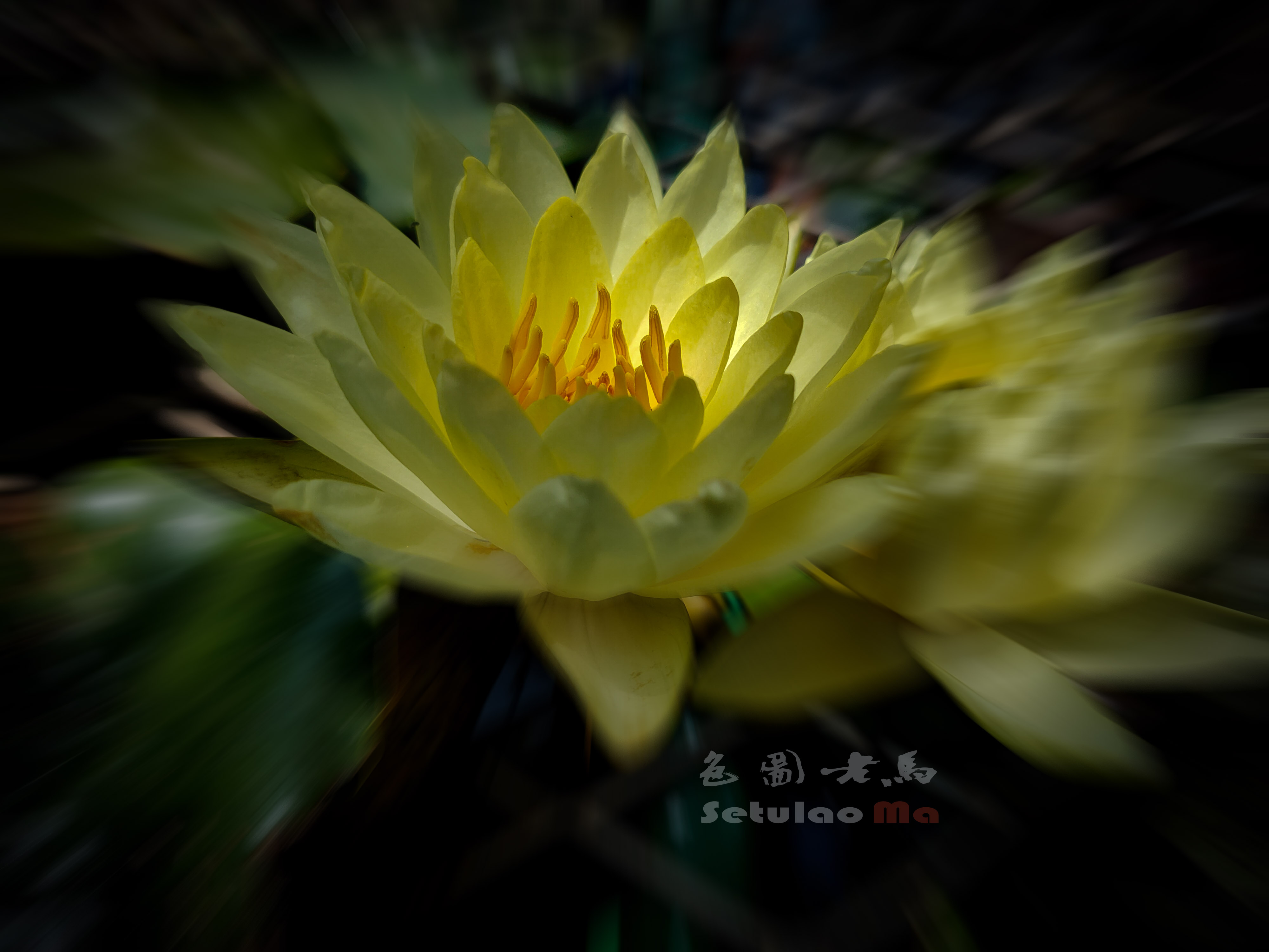 IMG20250709121554ccv.jpg