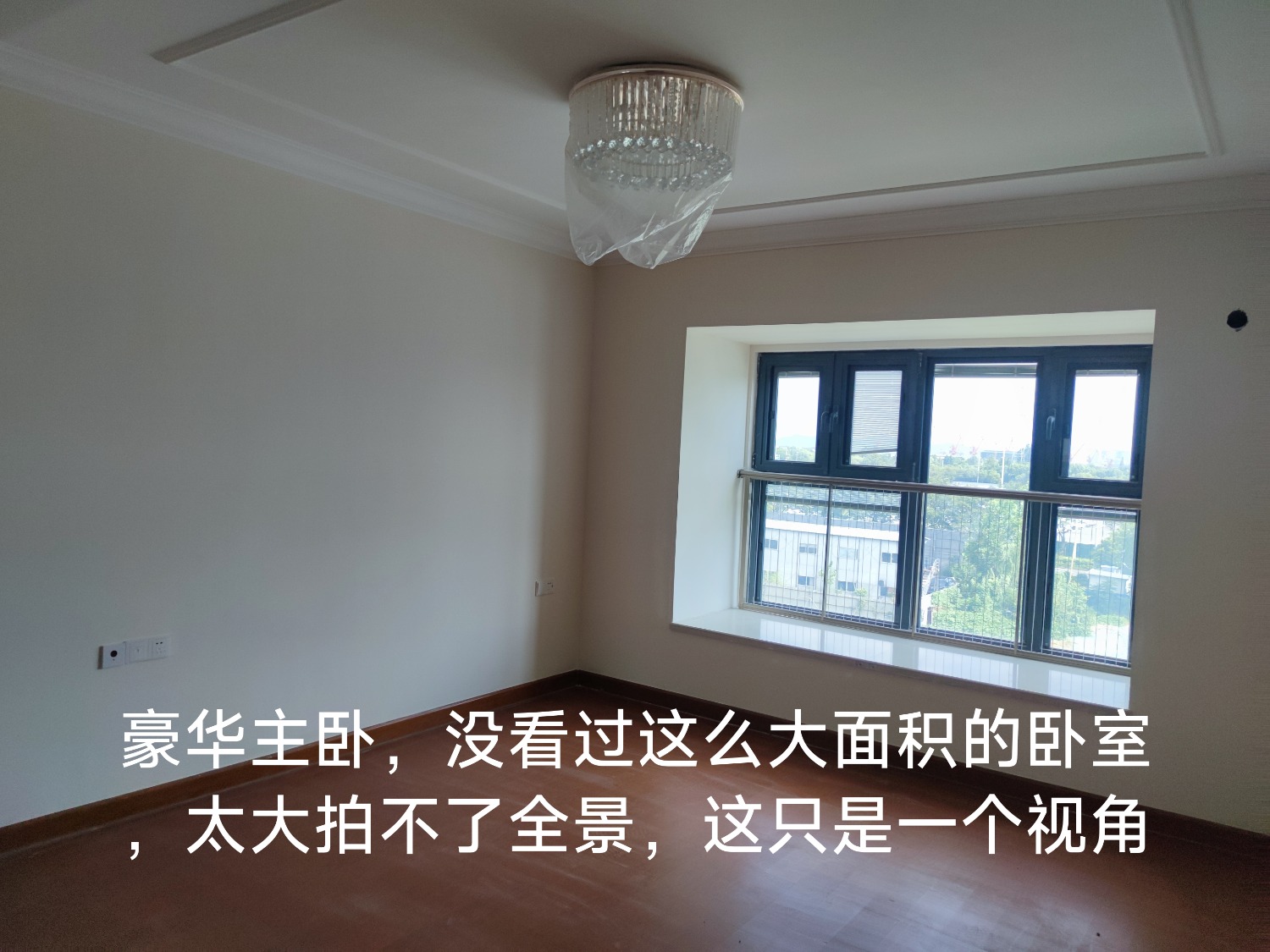 IMG_20250723_163113.jpg