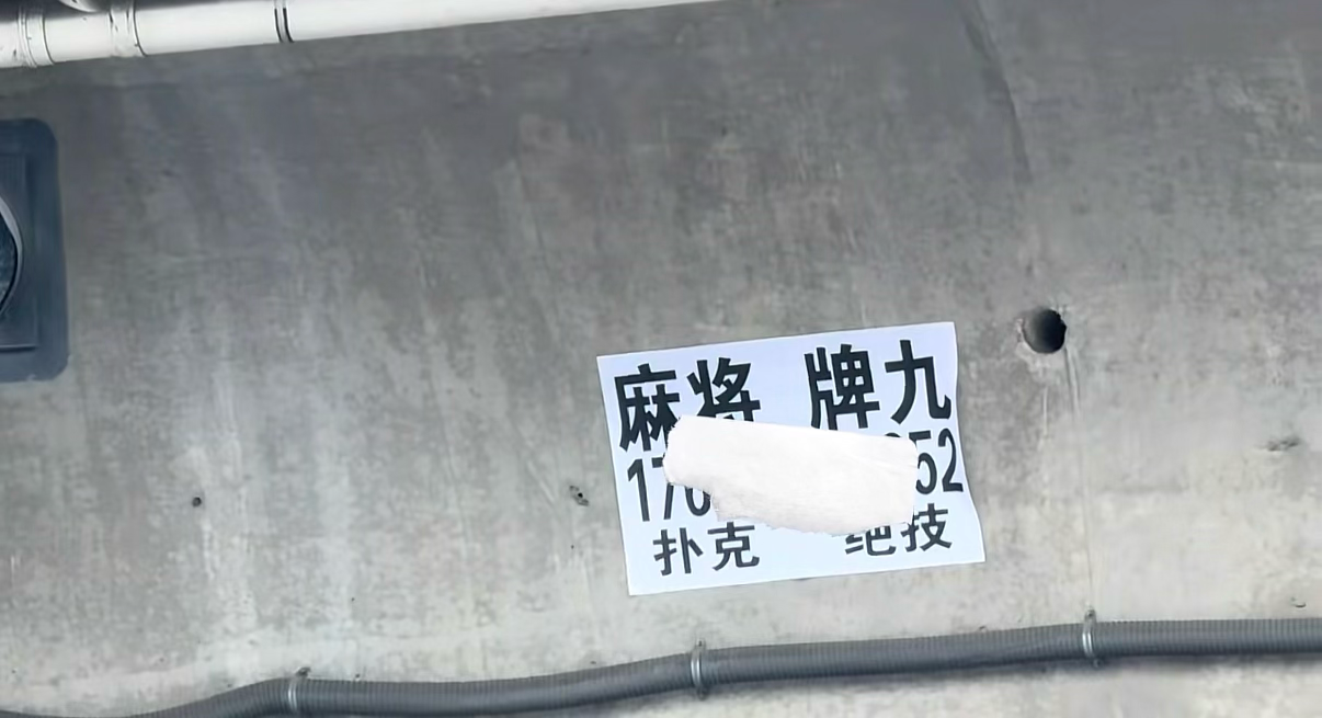 IMG_4392.png