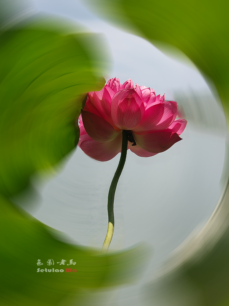 IMG20250709114552ccv.png