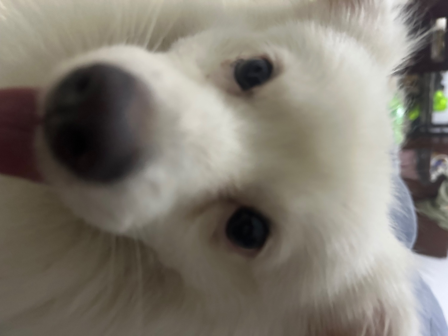 IMG_0011.jpeg