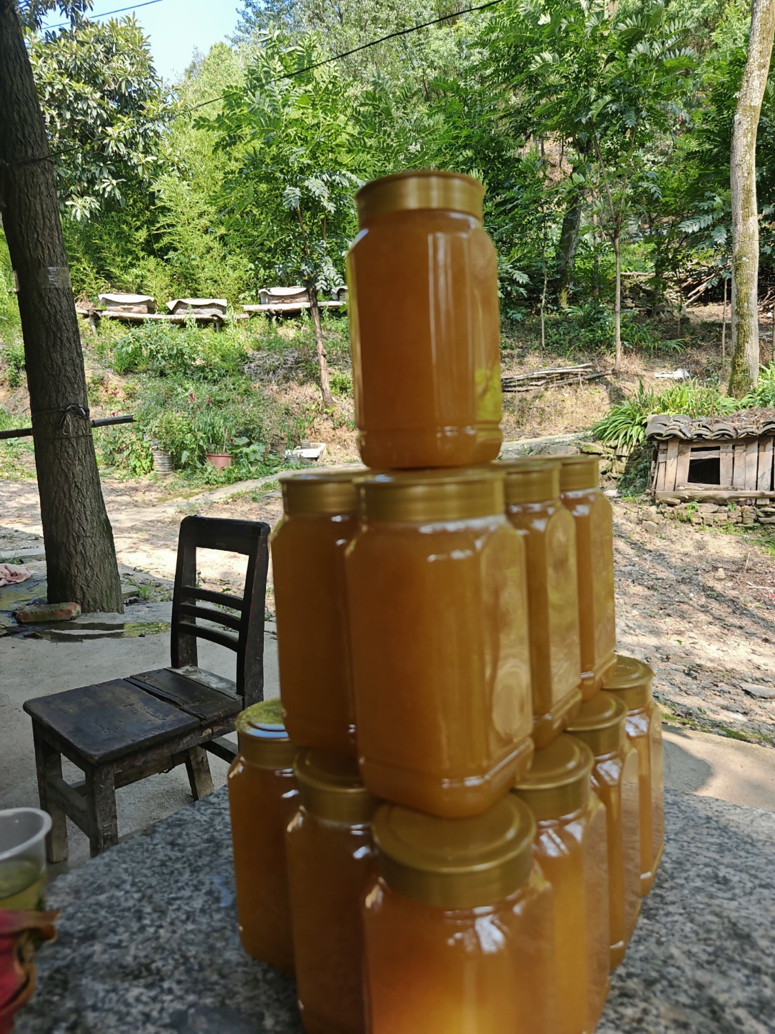 IMG_20250801_153735_1.jpg